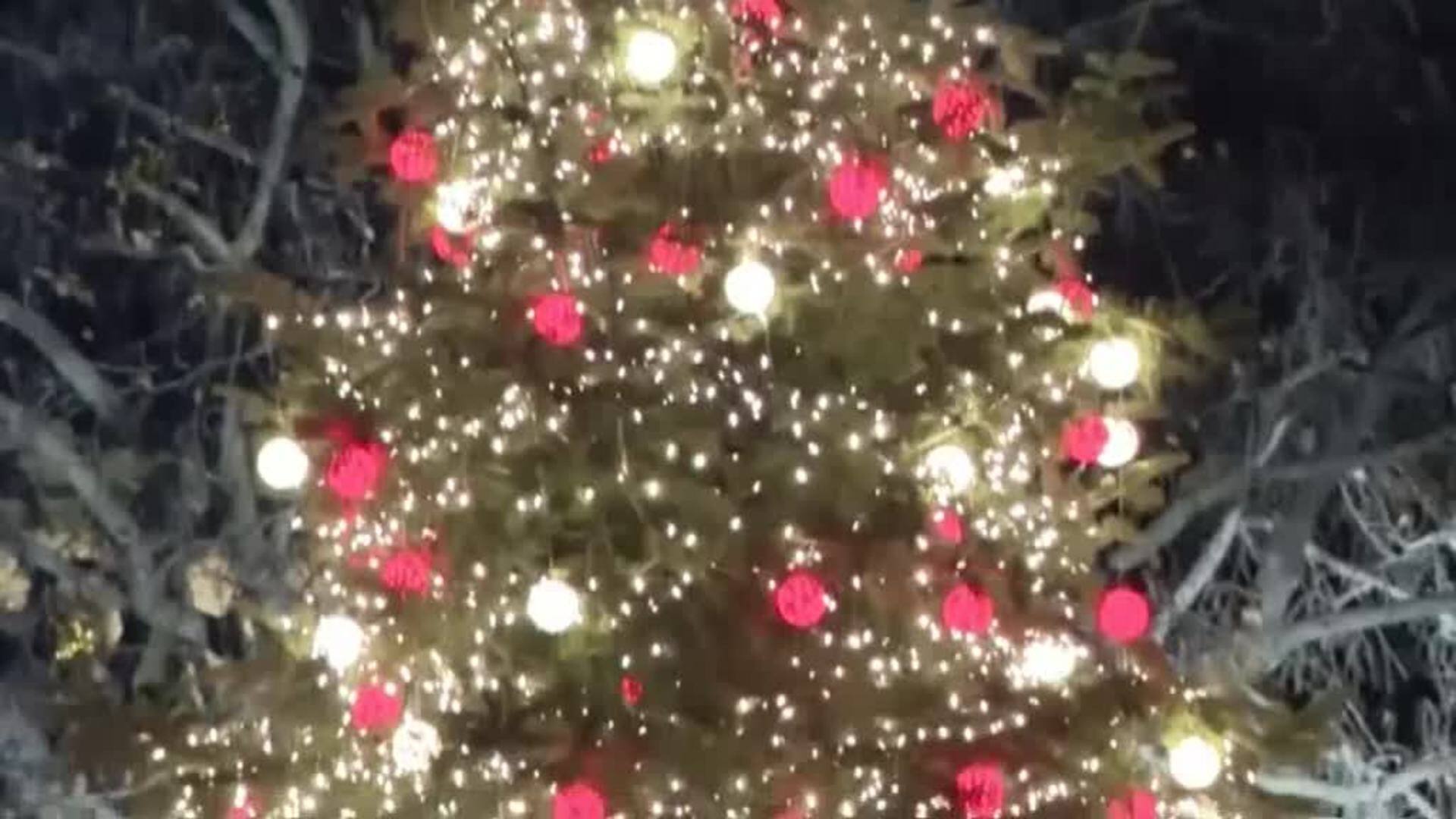 encendido-arbol-navidad