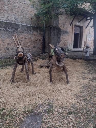 Feria de la manzana Cantabrana 2023