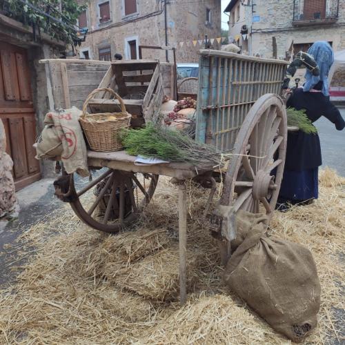 Feria de la manzana Cantabrana 2023