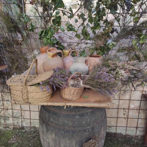 Feria de la manzana Cantabrana 2023