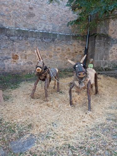 Feria de la manzana Cantabrana 2023