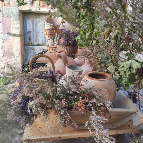 Feria de la manzana Cantabrana 2023