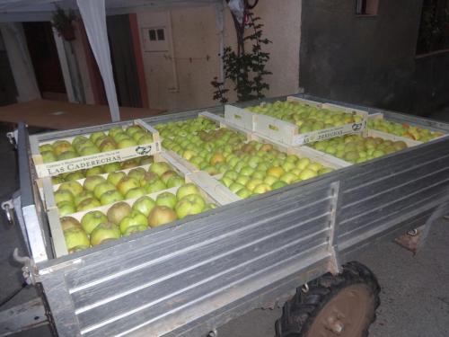 Feria de la manzana Cantabrana 2018