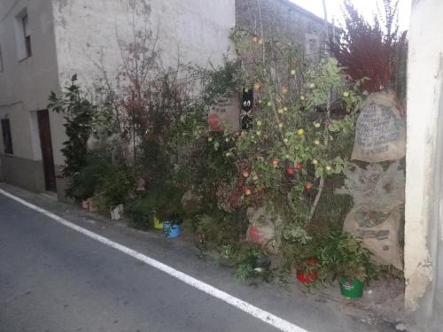 Feria de la manzana Cantabrana 2018