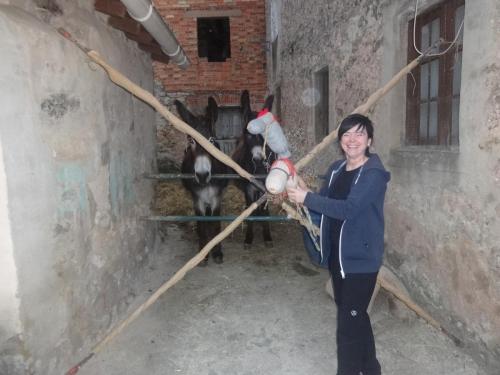 Feria de la manzana Cantabrana 2018