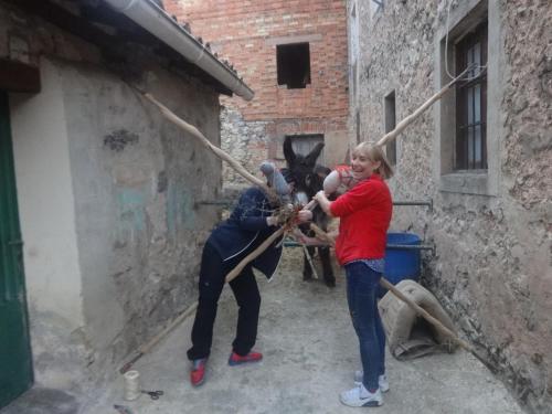 Feria de la manzana Cantabrana 2018