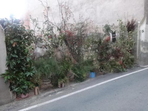 Feria de la manzana Cantabrana 2018