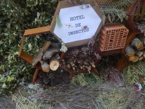 Feria de la manzana Cantabrana 2018